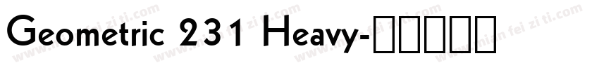 Geometric 231 Heavy字体转换